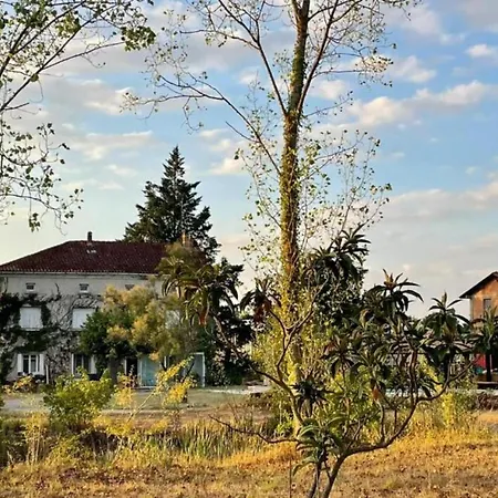 Le Parc De Gouts Aiguillon
