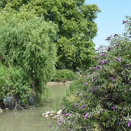 Domaine Familial, Le Parc De Gouts Aiguillon